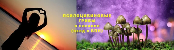 прущие крисы Аркадак