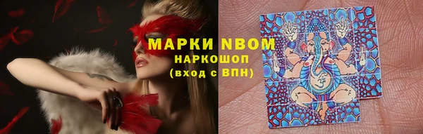Альфа ПВП Арсеньев