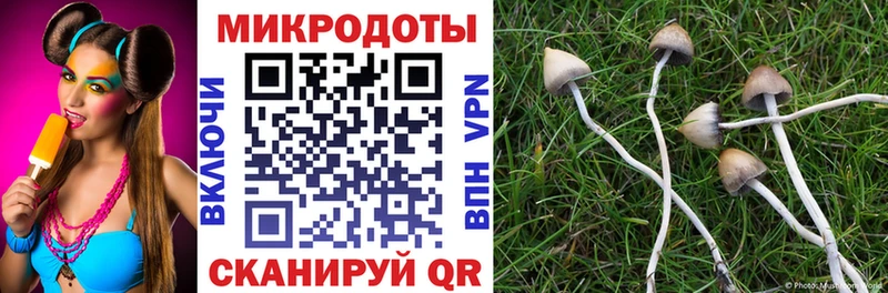 ссылка на мегу   Иннополис  Галлюциногенные грибы Cubensis 